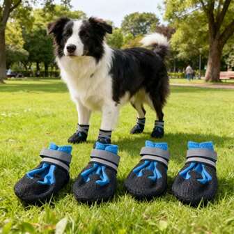 4双/套软底防滑狗鞋，适合中大型犬，例如金毛寻回犬、边境牧羊犬、比格犬、松狮犬等，方便行走。