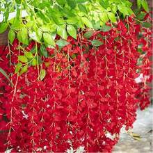 Dây leo hoa tử đằng nhân tạo 6/12/60 chiếc, dài 45,3 inch, vòng hoa tử đằng bằng lụa, thích hợp cho đám cưới, sân vườn, trang trí tường, quà sinh nhật, ngày lễ, phòng ngủ, trang trí nhà cửa, ngày Valentine, quà năm mới. - Đỏ - Xem 5