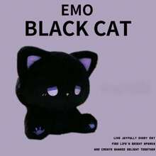 2025年流行款 - 可爱毛绒娃娃 - 高品质娃娃 - 卡通坐姿毛绒玩具娃娃 emo猫 - 送给朋友、节日、收藏、生日礼物 - 彩色 - 查看 11