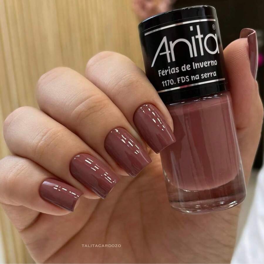 Anita Nail Polish Winter Vacation Collection - Choose Your Nail Polish - 1170 FDS TRÊN NÚI - Xem 1