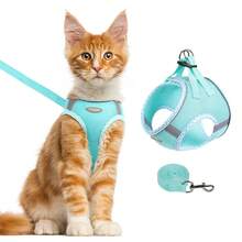 2pcs/Set Soft Breathable Adjustable Reflective Dog Harness Vest, Suitable For Small & Medium Dogs - Multicolor - View 20