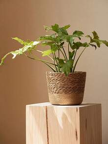 1pc Nordic Style Natural Seagrass Woven Planter Pot, Rattan Plant Pot, Home Decor Flower Basket, Multi-Function Garden Planter Basket, Dirty Clothes Basket, Storage Basket, Garden, Valentine's Day, Wedding, Birthday(Actual Size May Vary Slightly) - Multicolor - View 7