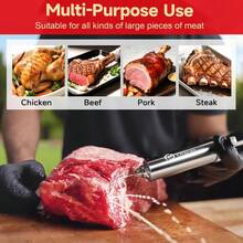 Seasoning Injector & Oil Mister