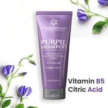Nuva Botanicals Purple Shampoo For Blondes - Shampoo For Gray Hair For Women Removes Brassy Tones From Hair - Blonde Shampoo With Vitamin B5 - Hair Toner For Bleached Hair 6.8fl Oz - ColorA - 查看 4
