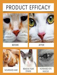 宠物清洁湿巾，犬猫专用，柔软耳部清洁垫，天然犬耳清洁湿巾，温和去除耳垢、污垢和异味，不刺激宠物眼睛、泪液、耳道分泌物和耳垢。温和卫生的宠物眼耳清洁湿巾。猫狗眼部清洁湿巾。用于清洁宠物眼睛，去除泪痕。 - 白色 - 查看 6