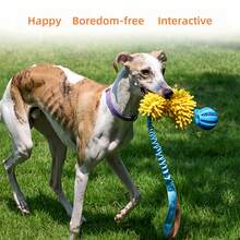 1个狗狗拔河玩具，多功能咀嚼玩具，配有橡胶球和柔软毛绒面条，适合训练小型、中型和大型犬。