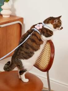 PETSIN 可爱花朵形猫背带带牵引绳，舒适、轻便、防逃跑宠物牵引套装 - 彩色 - 查看 7