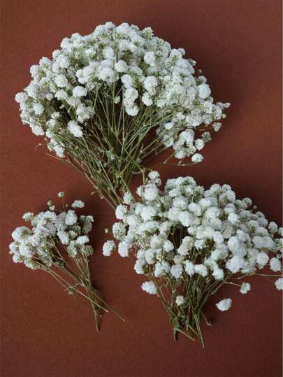 26/51/101/201/301pcs Artificial White Mini Dried Baby's Breath Ivory Flower Vase Filler For Wedding, Home, Office, Party, Garden, Card Making, DIY Decor