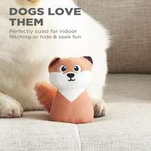 Outward Hound Hide A Raccoon Plush Dog Toy Puzzle - ColorD - 查看 3