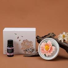 1个手工陶瓷花朵香薰扩散器，造型逼真，陶瓷花朵手工制作，多种花朵款式可选，创意礼品，无焰香氛石，家居香氛，情人节礼物 - 混合香型 - 查看 10