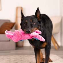 goDog With Chew Technology Tough Plush Dog Toy, Blue,(Large Rosa) - Multicolor - Ver 7