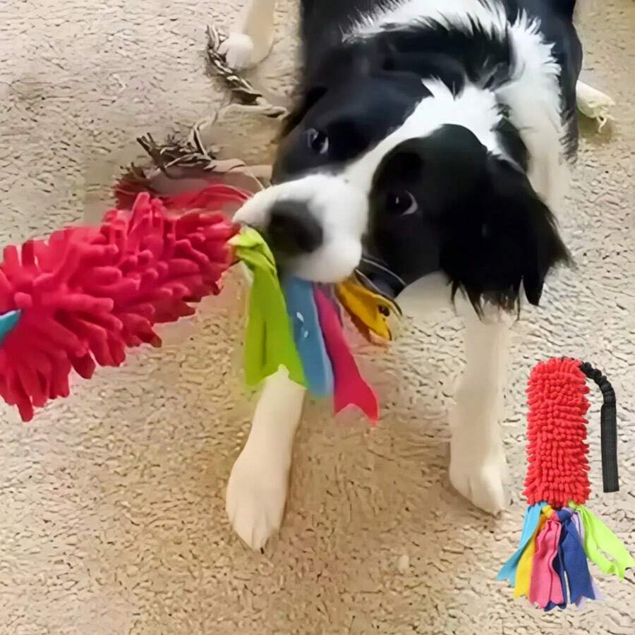 1pc Squeaky Tug Of War Dog Doll, & Stylish! Combines Durable Rope And Sound Maker. A Plush Doll For Teething And Chewing, Promotes Interaction With Owner And Enhances Dog's Intelligence, Suitable For Medium & Small Breeds