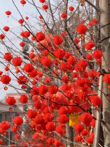 10/30/50pcs Red Paper-Cut Lanterns, Chinese New Year Decorations, Multifunctional Waterproof Hanging Decor, Suitable For Spring Festival, Birthday, Holiday Decoration, Auspicious Ornaments, Home Decor And Party Decoration. Happy New Year! - Multicolor - View 1