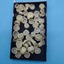 Conjunto de 50 tiras de clareamento dental, simples e convenientes, adequadas para todos os formatos de dentes, aumentam a confiança e o apelo do sorriso