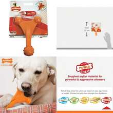 Nylabone NY83185 Dura Chew Axis Bone Dog Chew Toy(Hueso del eje) - Multicolor - Ver 1