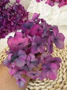 100/200/500/1000 piezas Flores secas de Hortensia de colores variados - Ideales para manualidades DIY, velas, bodas, proyectos hechos a mano, Navidad - degradado negro-púrpura - Ver 2