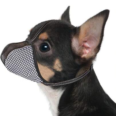 Thích hợp cho chó nhỏ. Rọ mõm mềm, thoáng khí, chống cắn, gặm, sủa, phản quang, có thể điều chỉnh, che phủ toàn diện, tiện lợi cho việc chải chuốt và vệ sinh.