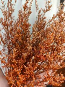 1 Bouquet Mixed With Baby's Breath, Gypsophila, Bunny Tail Grass, Eucalyptus, Lavender And Other Natural Flowers, Suitable For Dining Table Vase, Wedding, Bridal Bouquet, Home & Office Decor, Party - Orange (Lover's Grass) - View 2