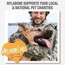 Nylabone NY83185 Dura Chew Axis Bone Dog Chew Toy(Hueso del eje) - Multicolor - Ver 8