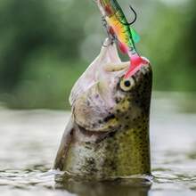 [Soft Bait] Soft Bait With Lead Head 5pcs Jig Wobblers, Artificial | Fishing Lure Set For Sea Bass Catfish Pike | Freshwater Saltwater - 5pcs - View 5