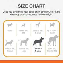 Nylabone NY83185 Dura Chew Axis Bone Dog Chew Toy(Hueso del eje) - Multicolor - Ver 6