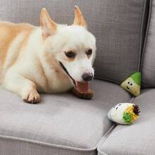 Outward Hound Hide A Raccoon Plush Dog Toy Puzzle - MàuI - Xem 7