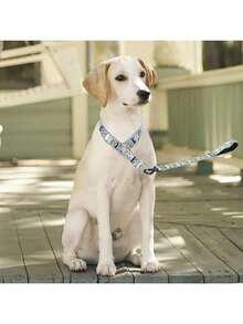 1 Piece Of Fashionable, Elegant And Creative Traction Rope With Flower Pattern Dog Collar. Soft And Comfortable Adjustable Collar Suitable For Small, Medium And Large Dogs To Interact And Play With As Pet Accessories - Multicolor - View 5