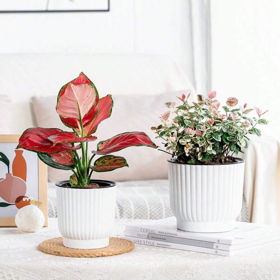 Self-Watering Plant Pots Indoor, Plastic Flower Pot With Water Reservoir For Miniature Plants Seedlings, Thick Round Planter For Indoor Outdoor Use - 白色 - 查看 1