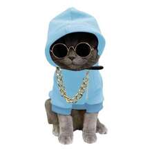 YQWINEE Conjunto de 3 Piezas para Perros y Gatos: Sudadera con Capucha Collar y Gafas de Sol. Ropa para Mascotas pequeñas y Medianas Cachorros y Gatos . Color: Azul Claro. Talla XS. - como en la foto - Ver 1