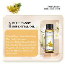 10毫升/0.33液盎司 EUQEE 精油，带滴管，适用于加湿器、DIY口红制作、蜡烛香薰、香薰扩散器等，包含薰衣草、茉莉、尤加利、香草、薄荷、檀香、乳香、甜橙、依兰、柠檬、玫瑰、佛手柑、茶树、丁香、柠檬草、广藿香、迷迭香、天竺葵、香茅、肉桂、葡萄柚、洋甘菊、生姜、没药、岩兰草、牛至、橙花、蜡菊、香脂、姜黄、金银花等多种精油。 - scent - 查看 38