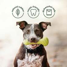 Benebone Pawbler - Natural Rubber Interactive Enrichment Treat And Kibble Dispensing Dog Toy U2013 Great For Boredom - Medium_Large - ColorC - 查看 5
