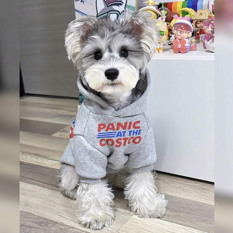 Poodle & Teddy Bear Dog Hoodie, American Print Pet Sweatshirt, Schnauzer Can Easily Pull Off Street Style, Daily Warmth And Pet Must-Have, Stylish And Fashionable Suitable For Small To Medium Dogs, Machine Washable - Grey - View 1
