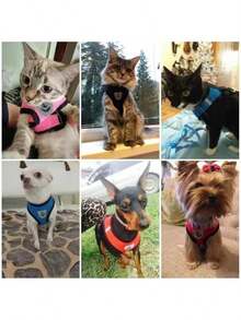 宠物胸背带和牵引绳套装，狗猫网眼透气背心式防滑散步牵引绳户外旅行带可折叠喂食碗组合