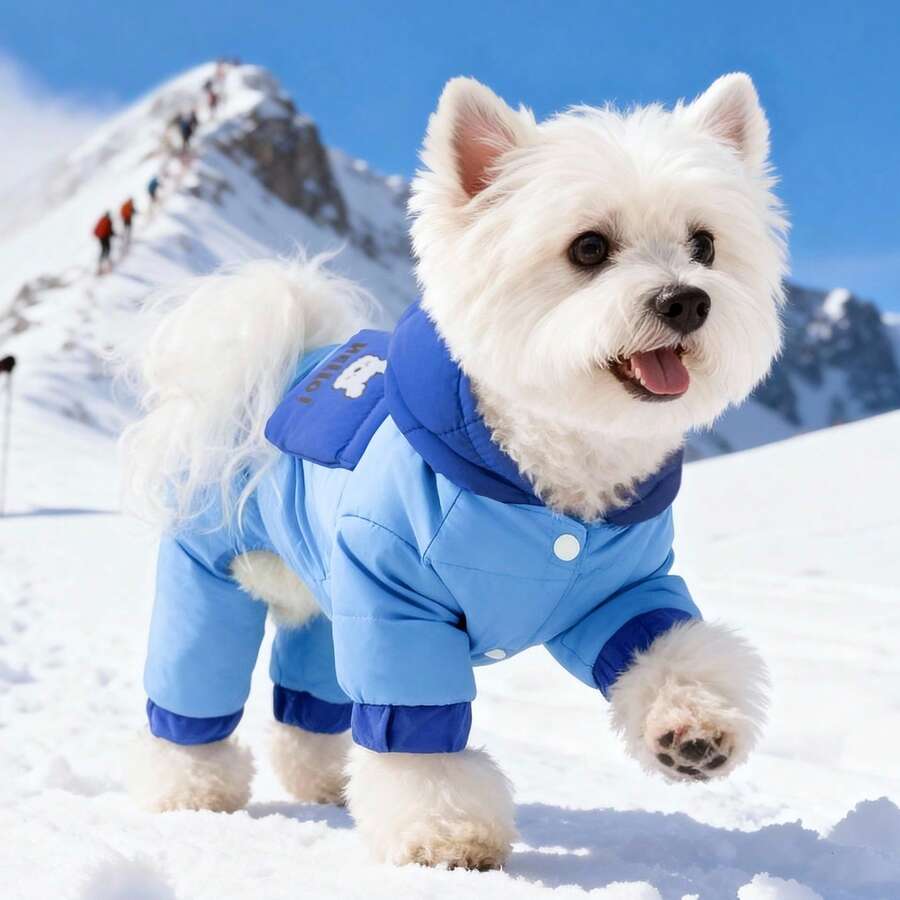 1件泰迪熊绗缝防风保暖羽绒服，秋冬季 - 藍色 - 查看 1