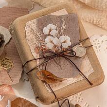 10pcs/Pack (5 Designs, 2 Of Each) Vintage Watercolor Style Dreamy Reeds Landscape Collage Stickers, PET Sticker Pack, Scrapbooking Supplies, Minimalist Floral Plant Decor, Planner DIY, Waterproof Stickers, Stationery Scrapbook Supplies - Multicolor - View 9