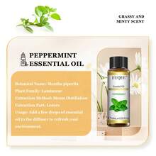 10毫升/0.33液盎司 EUQEE 精油，带滴管，适用于加湿器、DIY口红制作、蜡烛香薰、香薰扩散器等，包含薰衣草、茉莉、尤加利、香草、薄荷、檀香、乳香、甜橙、依兰、柠檬、玫瑰、佛手柑、茶树、丁香、柠檬草、广藿香、迷迭香、天竺葵、香茅、肉桂、葡萄柚、洋甘菊、生姜、没药、岩兰草、牛至、橙花、蜡菊、香脂、姜黄、金银花等多种精油。 - scent - 查看 53