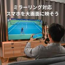 ラトックシステム USB Type-C to  変換ケーブル PD対応 RS-UCHD4K60-1M  17 pro Android - 2メートル - チェックする 5