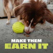 Benebone Pawbler - Natural Rubber Interactive Enrichment Treat And Kibble Dispensing Dog Toy U2013 Great For Boredom - Medium_Large - ColorE - 查看 2