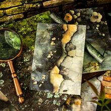 16 Stücke/Packung Vintage Stein Ziegel & Moos Scrapbooking Papier, Retro Blumen & Blatt Dekor DIY Handwerk Hintergrundmaterial - Verschiedenfarbig - Übersicht 5