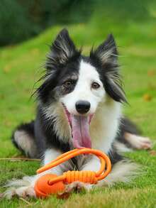 1PC Dog Ball, Rope Toy, For Cleaning Teeth And Chewing, Durable And Fun, Interactive Rope Toy, Suitable For Dog Training, Dog Chew Toy Ball.Dog Stuff,Dog Toys,Dog Things,Dog Supplies - Orange - View 7