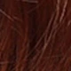 Dirty Orange
