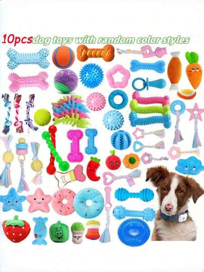 Paquete de 5 juguetes masticables para perros en colores y estilos surtidos. Estos juguetes resistentes a las mordeduras son perfectos para aliviar la dentición y son ideales para uso en exteriores en primavera y verano. Juguetes de entrenamiento interactivos con una variedad de formas y texturas, hechos de plástico, en varios colores y estilos. Adecuado para perros pequeños y medianos. Los perros grandes tienen una mordida fuerte y pueden dañar estos juguetes.