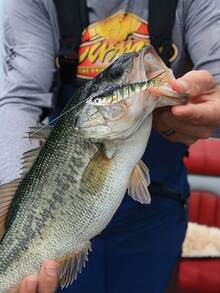 GOTURE 1PC Multi Joint Hard Bait, With 8 Sections In An S-Shaped Swimming Posture, Suitable For Trout Lure Fishing In All Water Areas - Multicolor - View 6