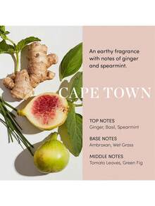 OUAI 236 ml/8 uncji płynu Lekka, nietłusta maska do włosów cienkich/średnich - Odżywcza kuracja o jakości salonowej dla miękkich, jedwabistych, mocnych i pełnych objętości włosów - 236 ml - Zobacz 4