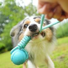 1PC Dog Ball, Rope Toy, For Cleaning Teeth And Chewing, Durable And Fun, Interactive Rope Toy, Suitable For Dog Training, Dog Chew Toy Ball.Dog Stuff,Dog Toys,Dog Things,Dog Supplies - Orange - View 8