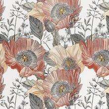 Craft Paper - ฟลอร์ เดอ อามาโปลา - ดู 12