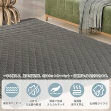 FREELIFE Carpet - Solid Color, Dark Gray (DGY) - View 2