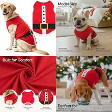 Pet Sweaters - Multicolor - View 1