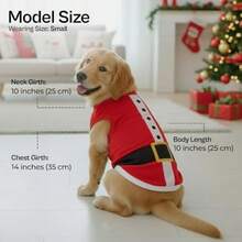 Pet Sweaters - Multicolor - View 4
