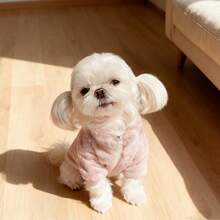 贵宾犬/泰迪熊款仿保暖内衬狗狗外套，适合中小型犬，户外保暖服 - 粉色 - 查看 10